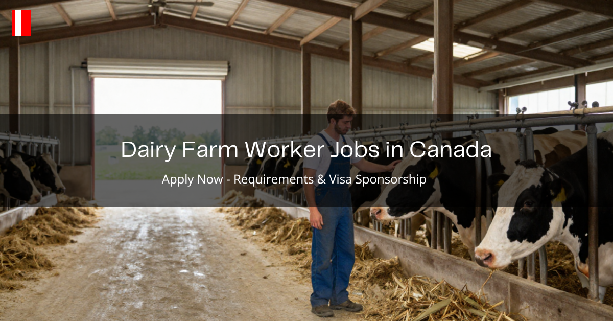 Dairy Farm Worker Jobs in Canada 2026 – New Jobs