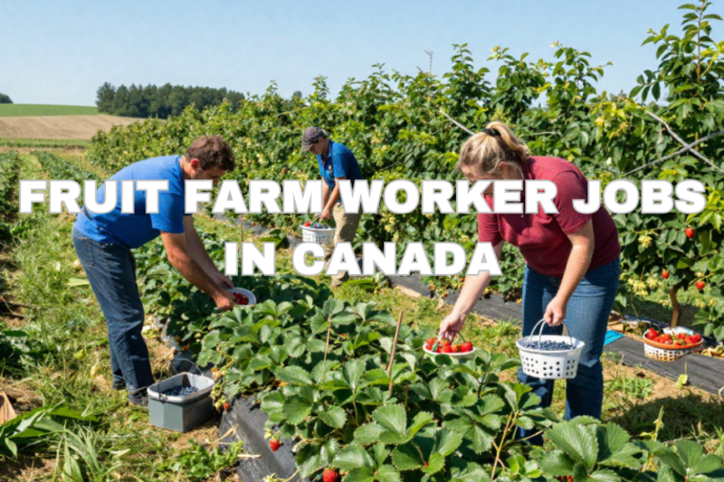 Fruit Farm Worker Jobs in Canada