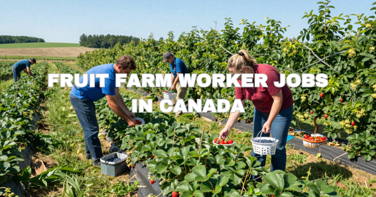 Fruit Farm Worker Jobs in Canada
