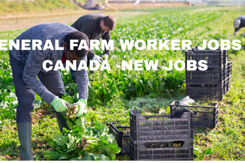 General Farm Worker Jobs in Canada -New Jobs