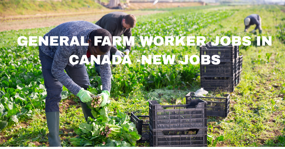 General Farm Worker Jobs in Canada